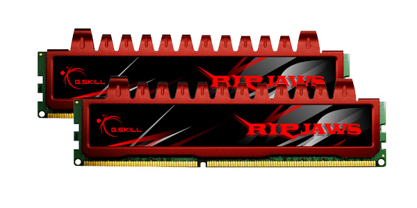DDR3 8GB  G.Skill F3-12800CL9S-4GBRL