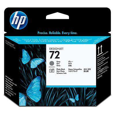 HP 72 Gray and Photo Black Printhead