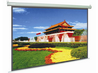 Mán chiếu treo tường DALITE